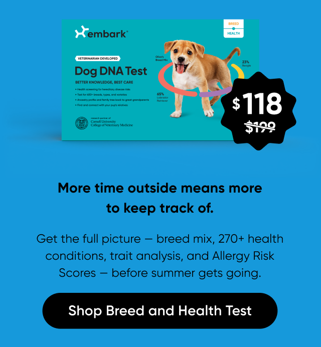 More time outside means more to keep track of. Get the full picture: breed mix, 270+ health conditions, traits analysis, and Allergy Risk Scores, before summer gets going. Shop Breed + Health Test.