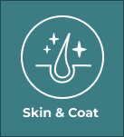 Skin and Coat Box