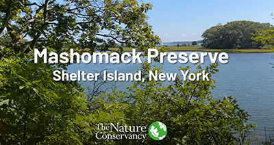 Mashomack Preserve