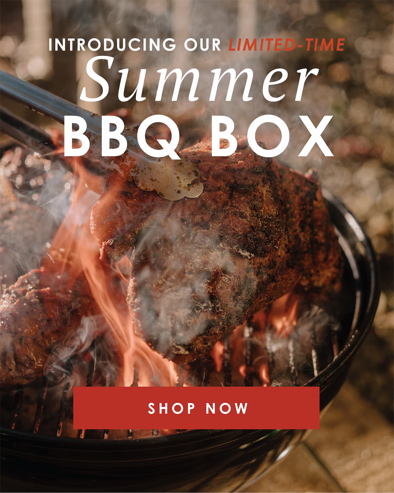 SUMMER BBQ BOX 