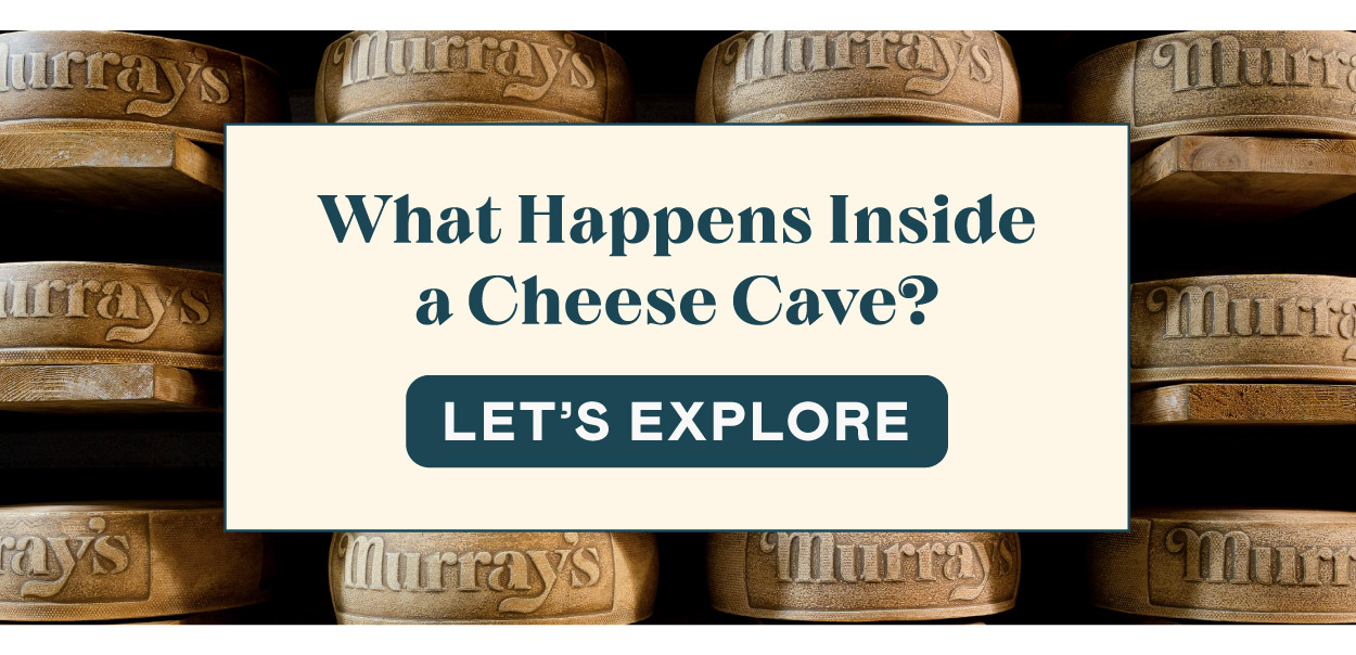 Explore Murray's Cheese Caves