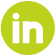 ico_li