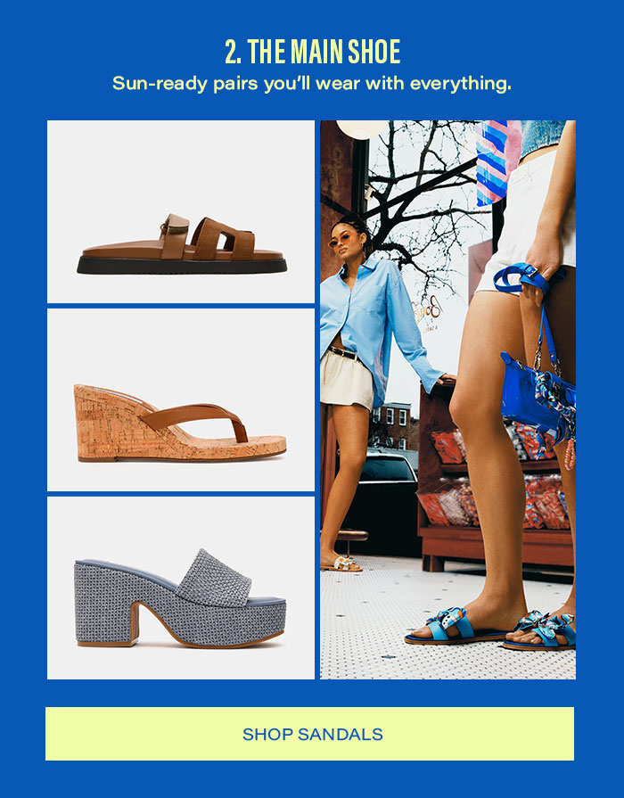 The Main Shoe