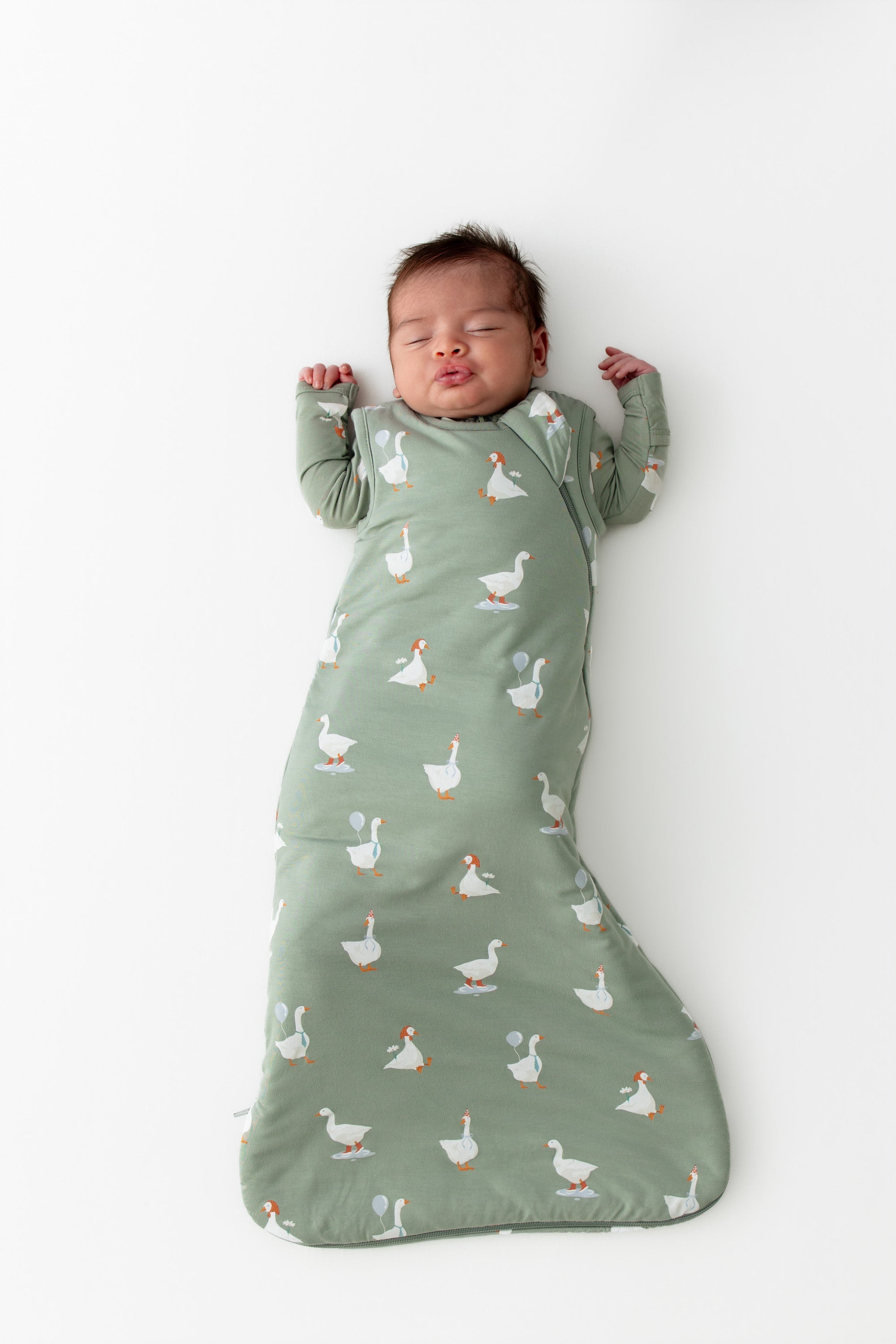 Image of Sleep Bag in Silly Goose 1.0