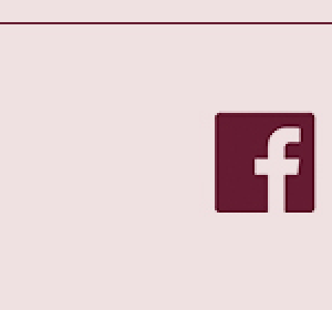 Facebook Icon