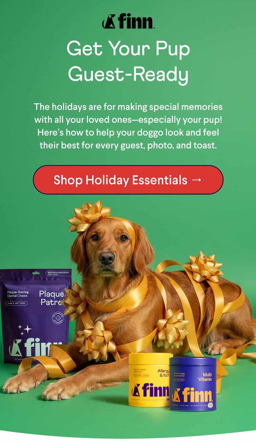 Finn logo. Text: Get Your Pup Guest-Ready The holidays are for making special memories with all your loved ones—especially your pup! Here’s how to help your doggo look and feel their best for every guest, photo, and toast.  CTA: Shop Holiday Essentials →