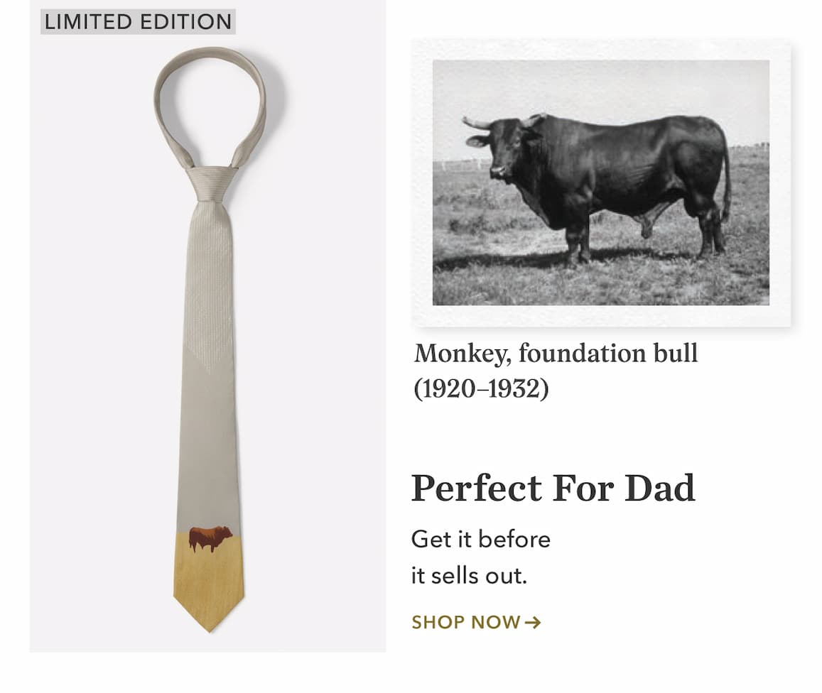 Santa Gertrudis Heritage Tie