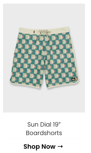 Sun Dial 19" Boardshorts