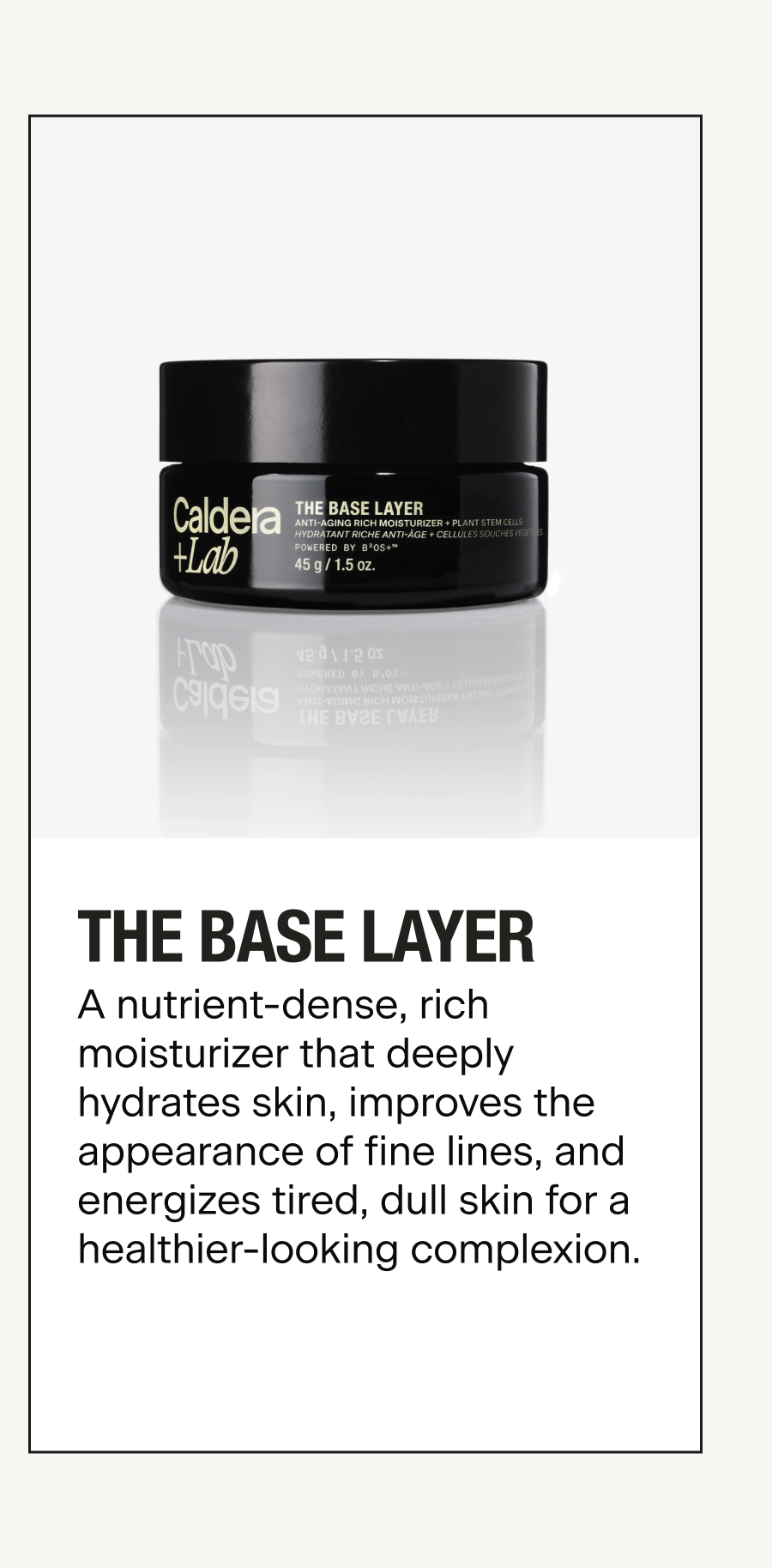 THE BASE LAYER