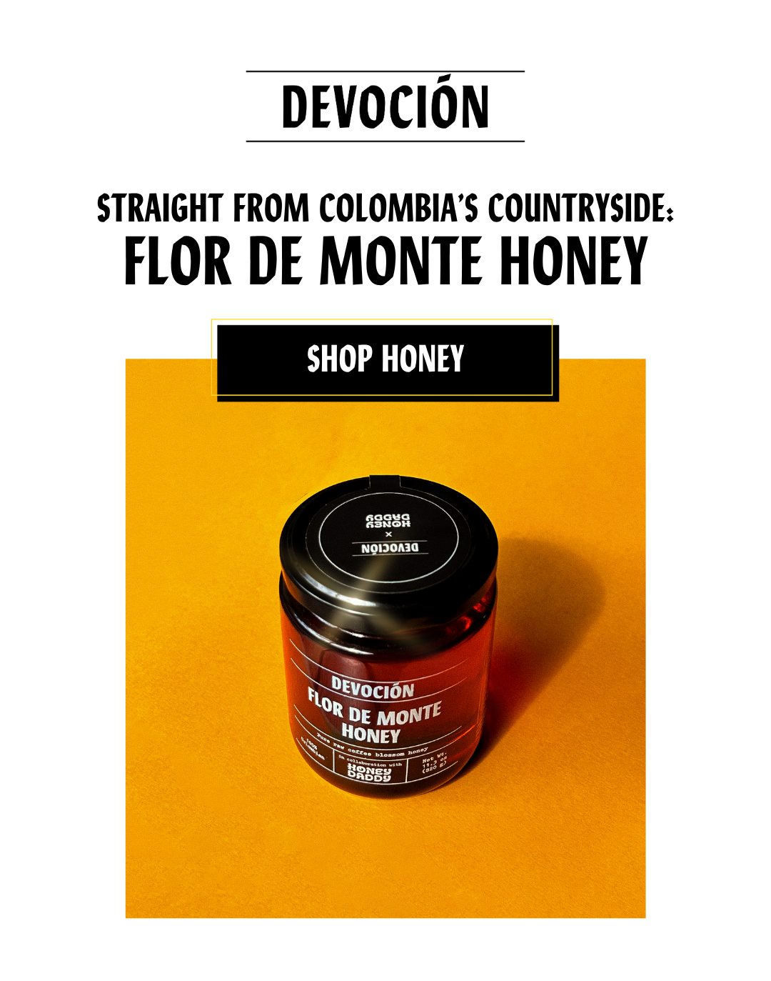 A taste of Colombia's Mountains: Flor de Monte Honey