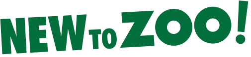 New to Zoo