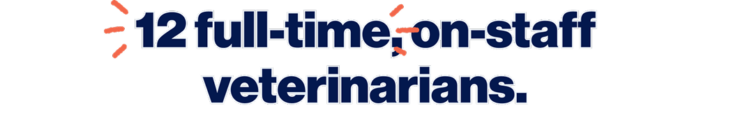 12 full-time, on-staff veterinarians.