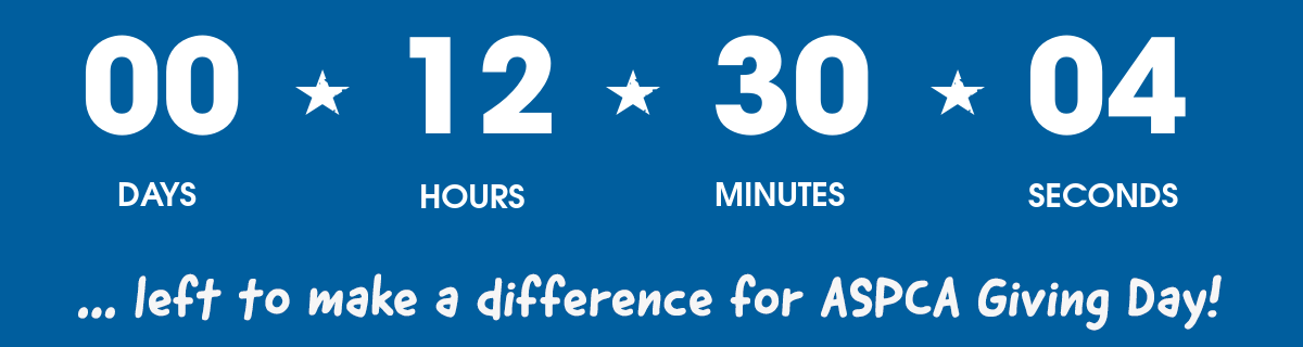Hours left to make a difference on ASPCA Giving Day.