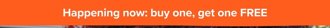 HAPPENING NOW: Buy one get one FREE