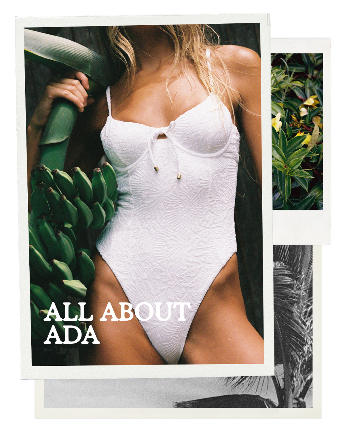 All About Ada