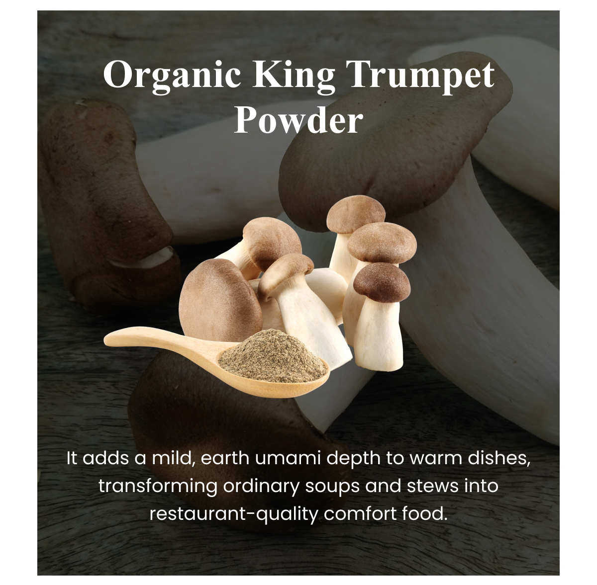 Organic King Trumpet Powder It adds a mild, earth umami depth to warm dishes, transforming ordinary soups and stews into