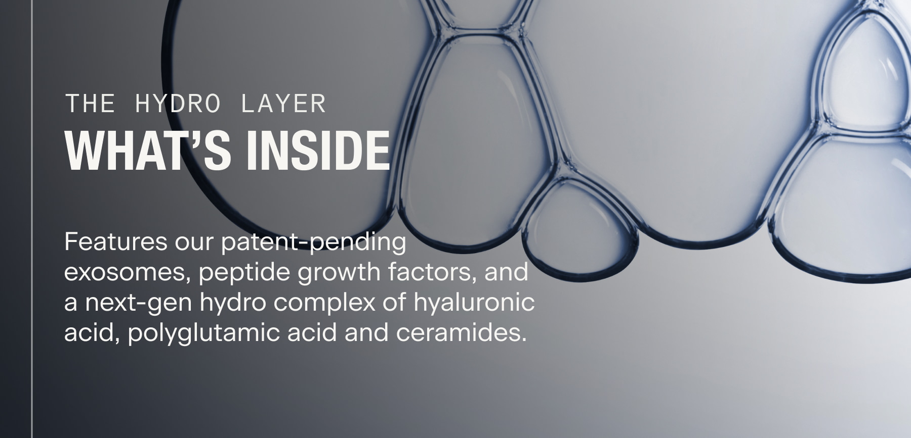 What's Inside The Hydro Layer