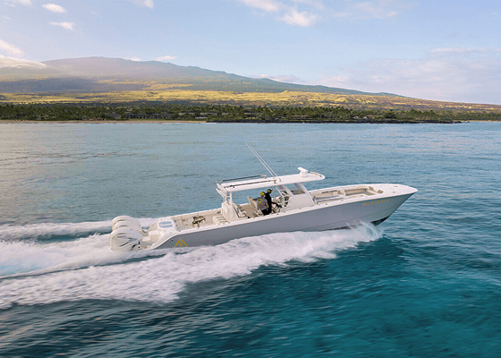 A boat cruising in the water with an island coastline in the background.