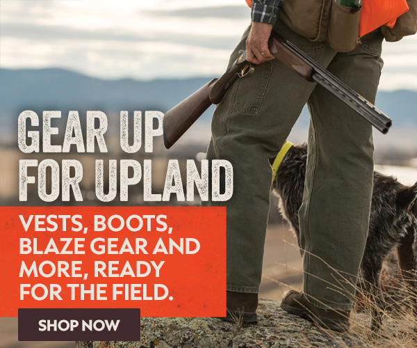 Gear Up for Upland