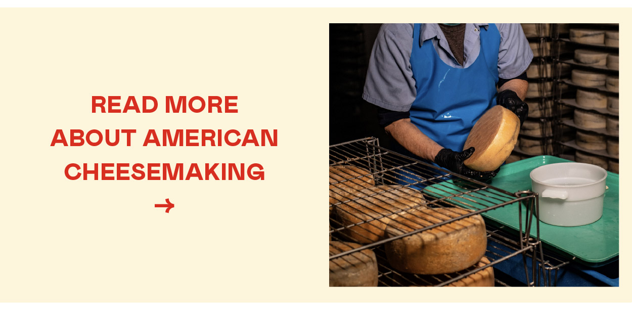 Read More on Our Journal