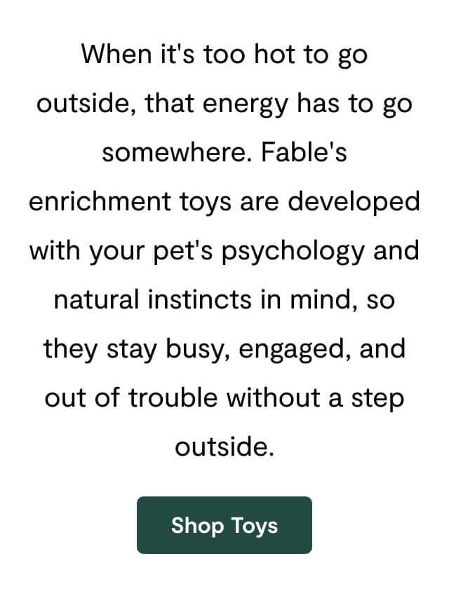 When it's too hot to go outside, that energy has to go somewhere. Fable's enrichment toys are developed with your pet's psychology and natural instincts in mind, so they stay busy, engaged, and out of trouble without a step outside.