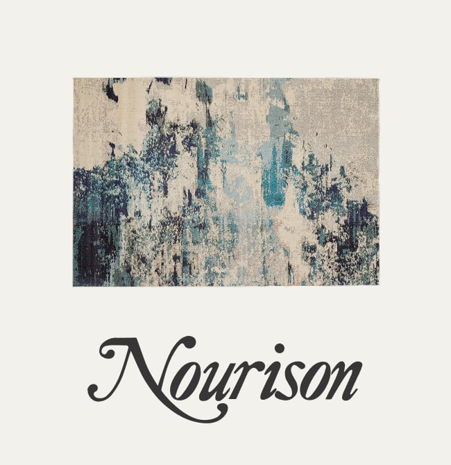 Shop Nourison Rugs