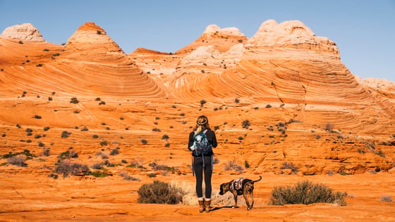 Public Land Votes