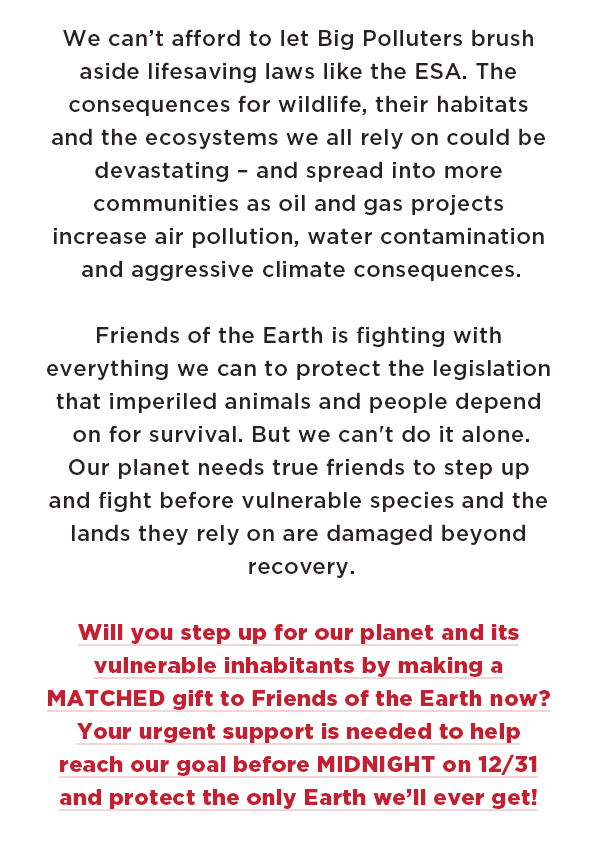 We can’t afford to let Big Polluters brush aside lifesaving laws like the ESA. The consequences for wildlife, their habitats and the ecosystems we all rely on could be devastating –– and spread into more communities as oil and gas projects increase air pollution, water contamination and aggressive climate consequences. 

Friends of the Earth is fighting with everything we can to protect the legislation that imperiled animals and people depend on for survival. But we can't do it alone. Our planet needs true friends to step up and fight before vulnerable species and the lands they rely on are damaged beyond recovery.

Will you step up for our planet and its vulnerable inhabitants by making a MATCHED gift to Friends of the Earth now? Your urgent support is needed to help reach our goal before MIDNIGHT on 12/31 and protect the only Earth we’ll ever get! 