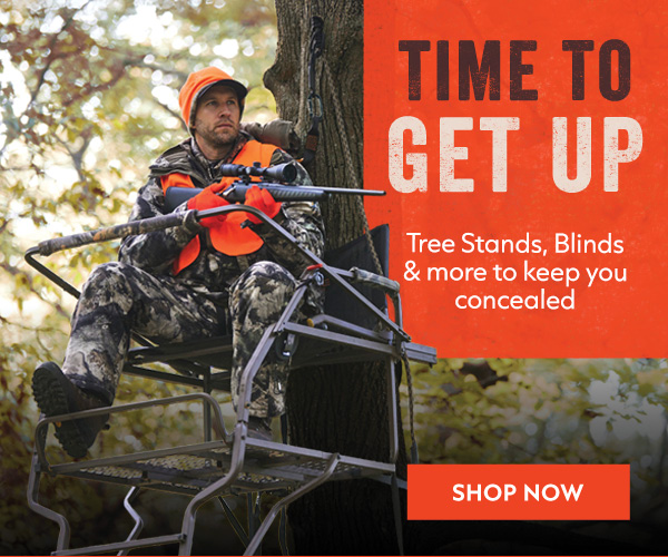 Tree Stands