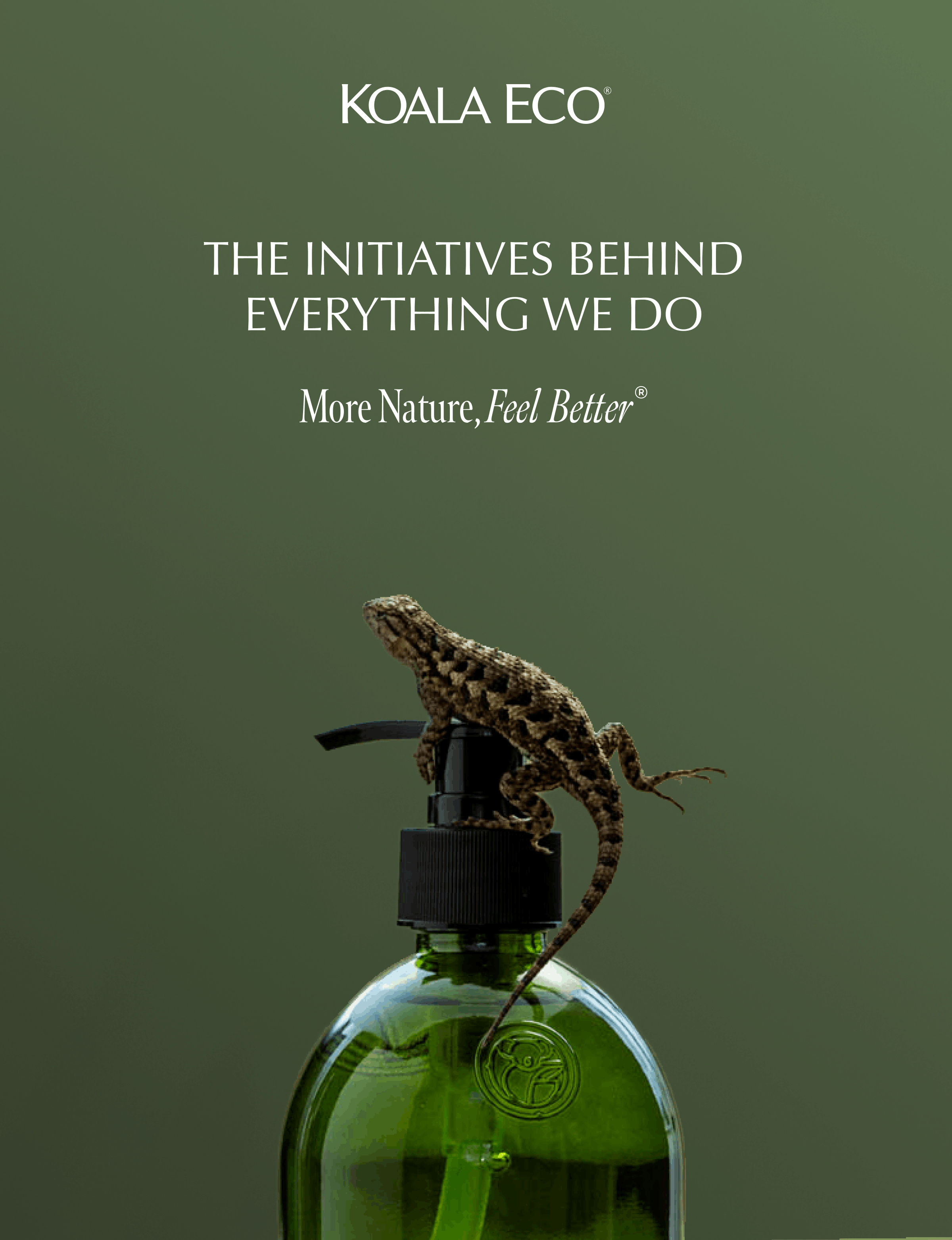 KOALA ECO: The initiatives behind everything we do