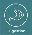 Digestion Box