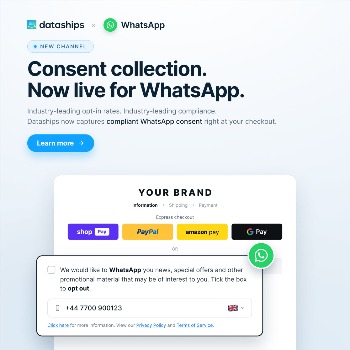 WA Launch — 1x1 (LinkedIn) — LIGHT