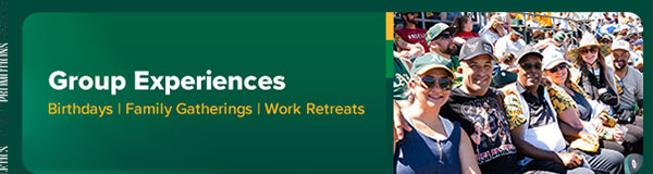Group Experiences - Learn More