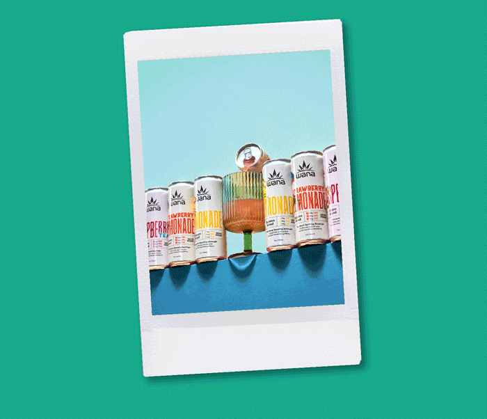 Wanderous is 1 Year Old!