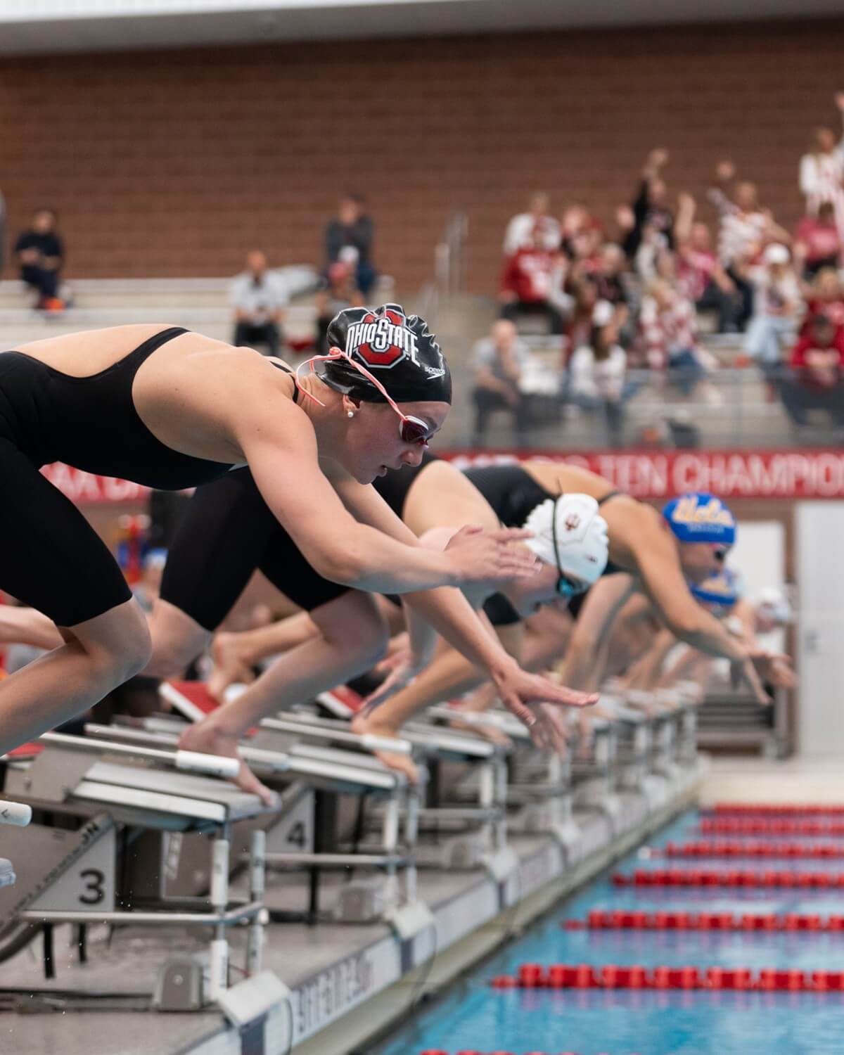 Big Ten Women's Swim & Dive Championships