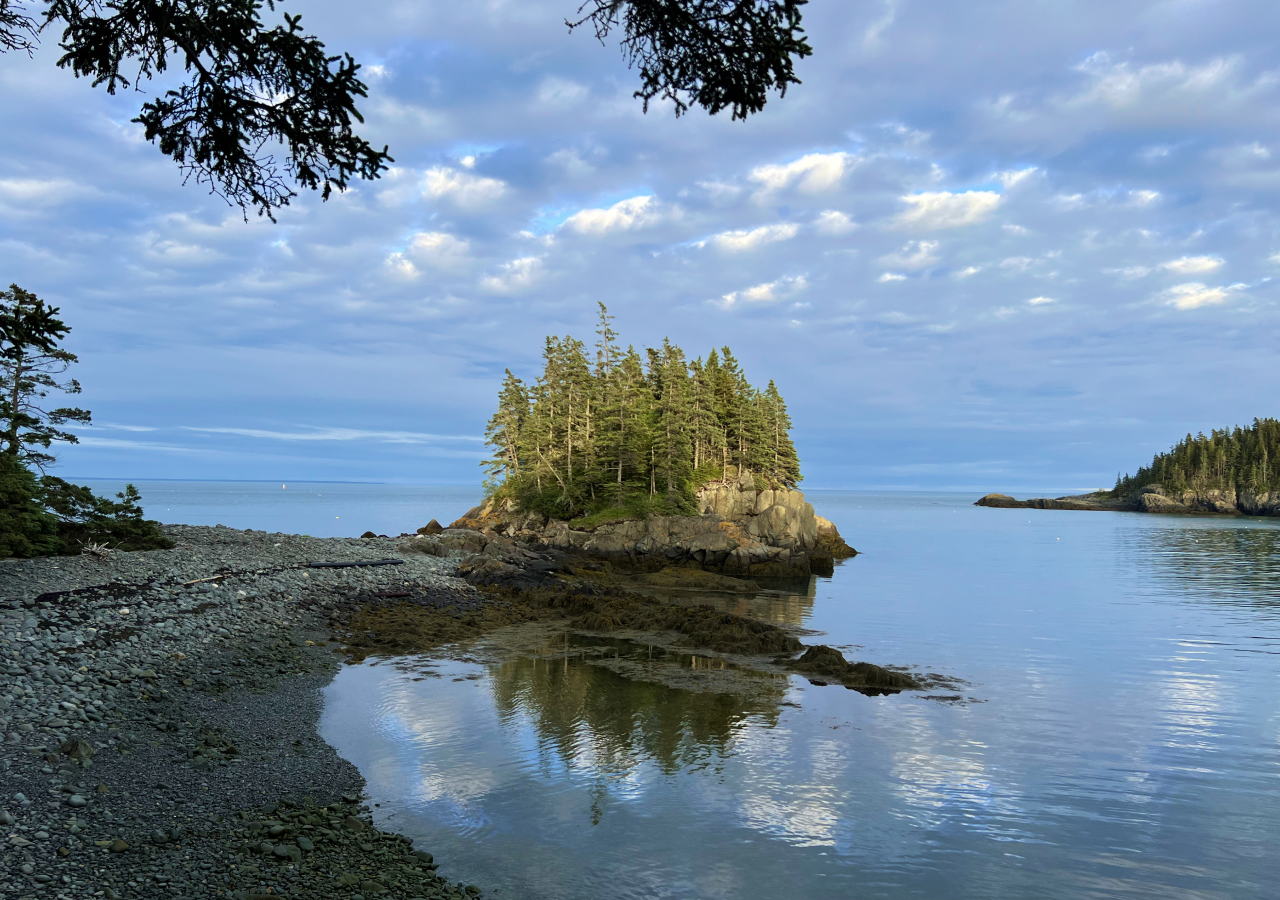 Landscape of the Maine Coast