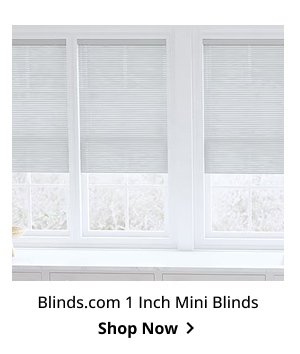 Blinds.com 1 Inch Mini Blinds | Shop Now >