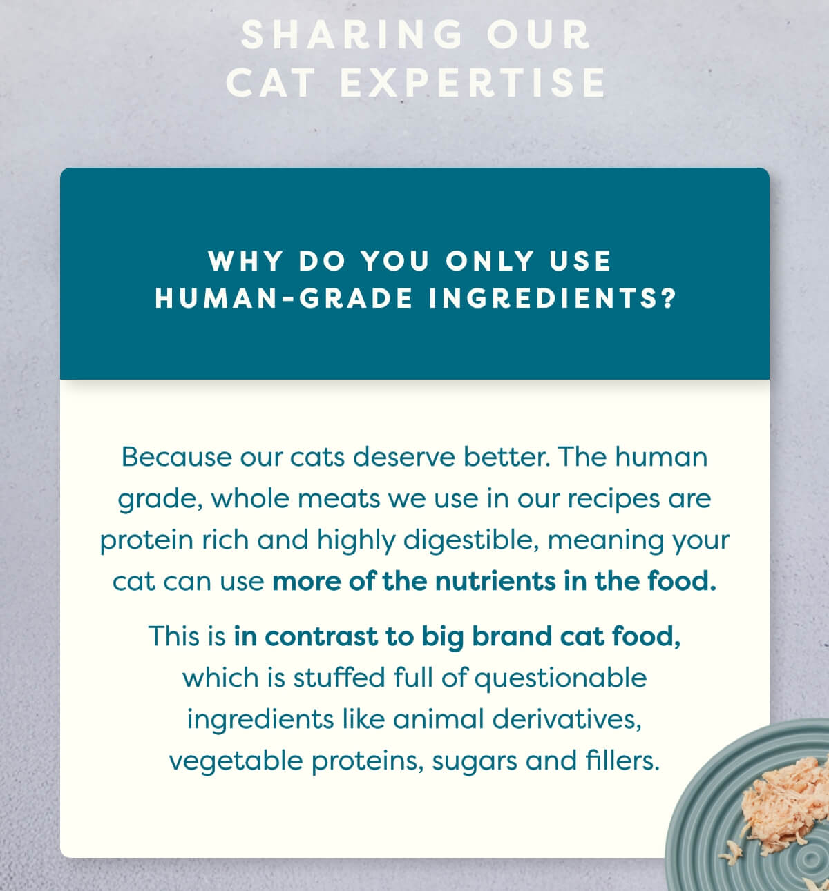 Because our cats deserve better. The human grade, whole meats we use in our recipes are protein rich and highly digestible, meaning your cat can use more of the nutrients in the food.  This is in contrast to big brand cat food, which is stuffed full of questionable ingredients like animal derivatives, vegetable proteins, sugars and fillers.