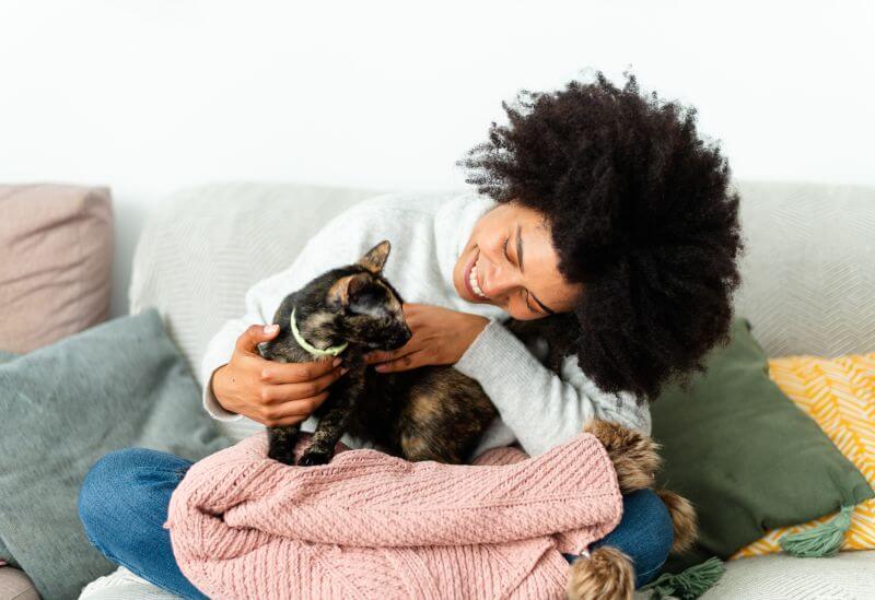 Cat on owner's lap