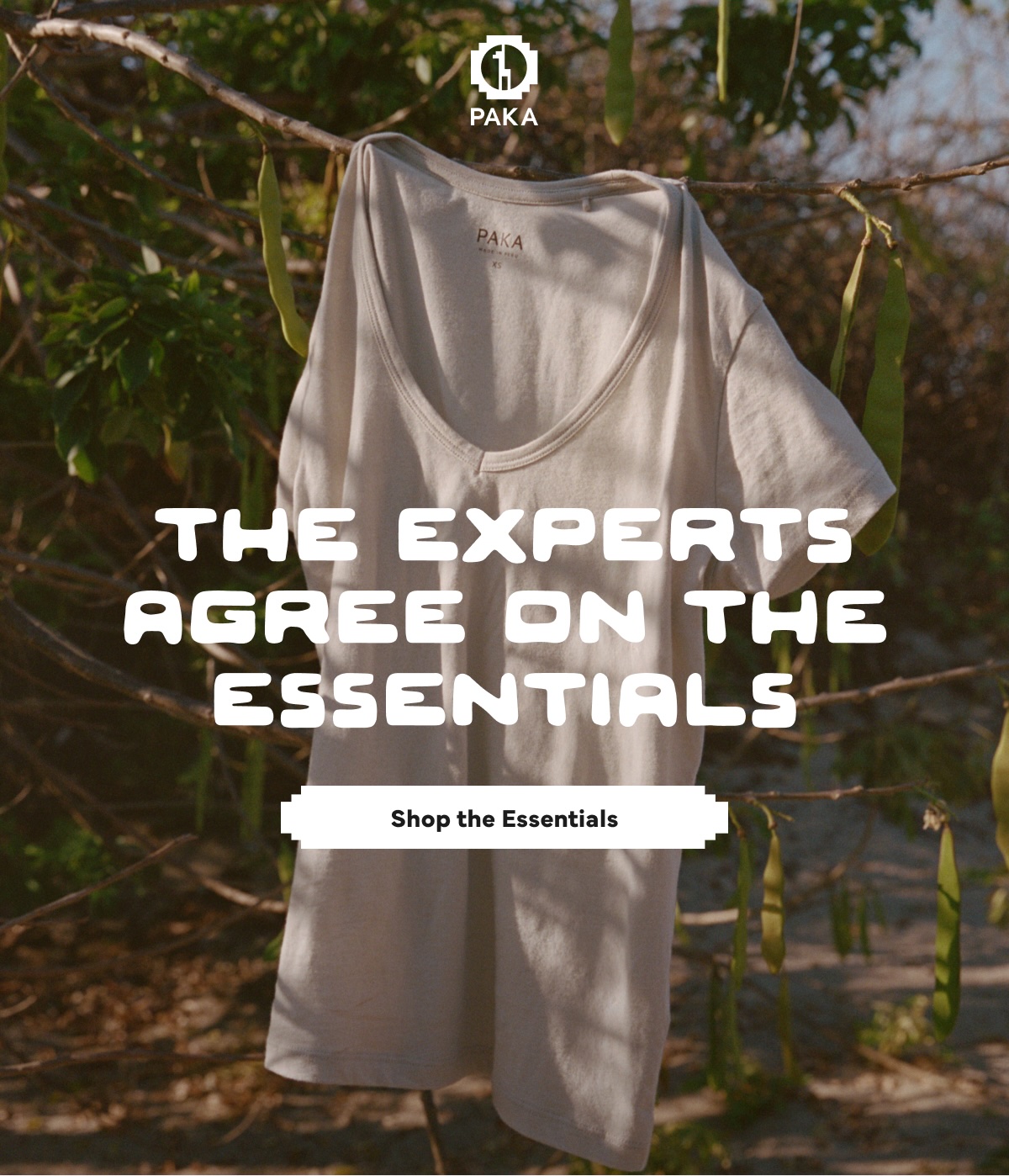 Experts Agree on Essentials