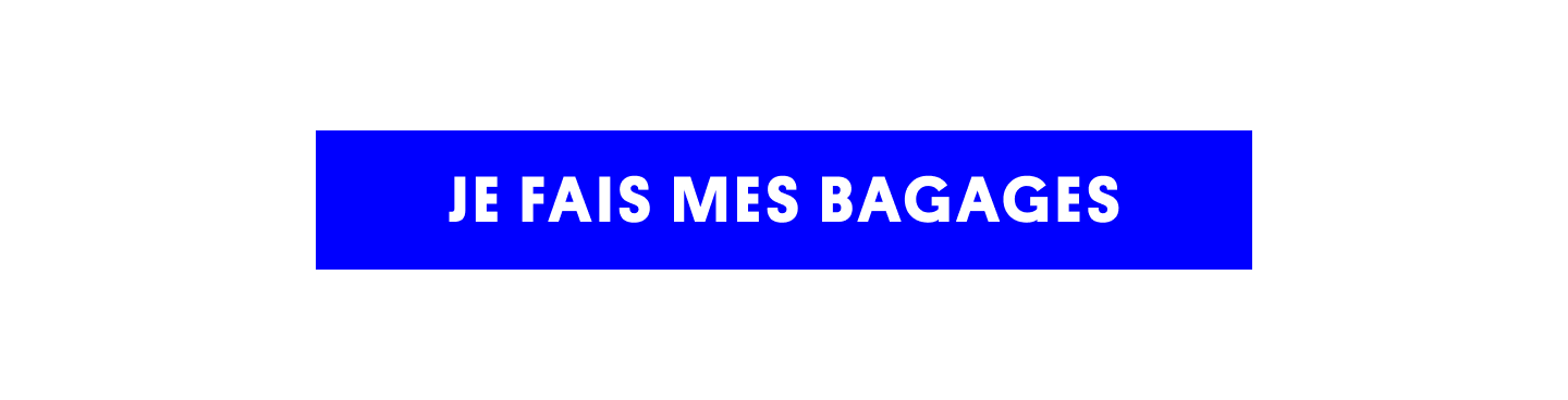 Panier de voyage