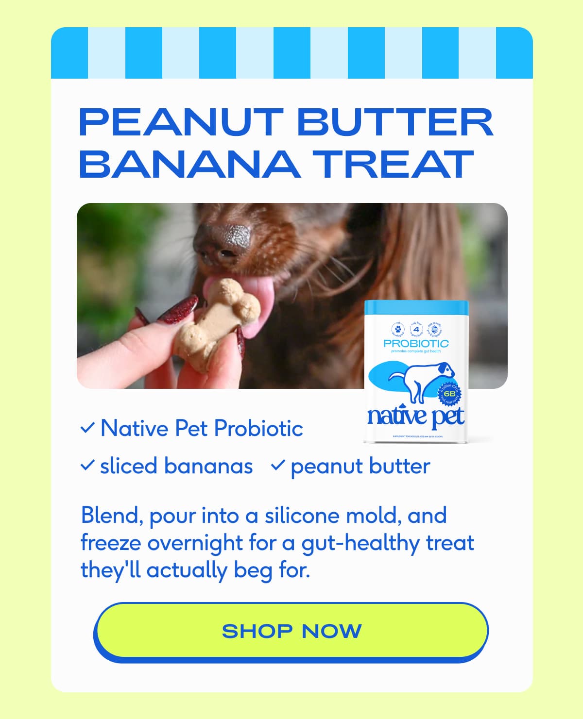 PEANUT BUTTER BANANA TREAT Native Pet Probiotic sliced bananas peanut butter Blend, pour into a silicone mold, and freeze overnight. A gut-healthy treat they'll actually beg for. shop now