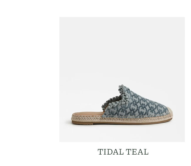 Tidal Teal