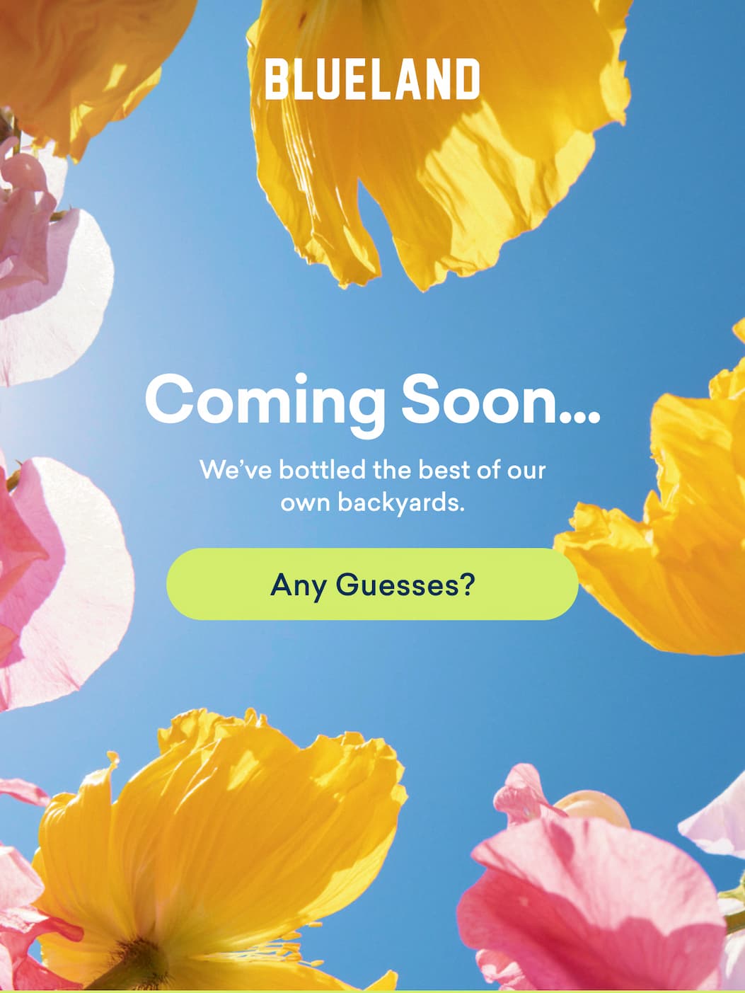 We've got a new scent landing 5/10! 