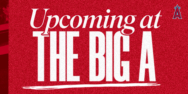 Upcoming at the Big A