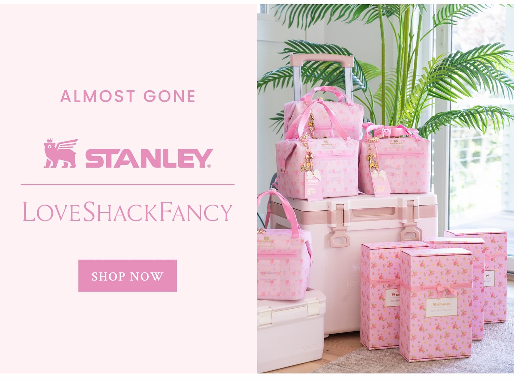 ALMOST GONE Stanley x LoveShackFancy  <SHOP NOW>