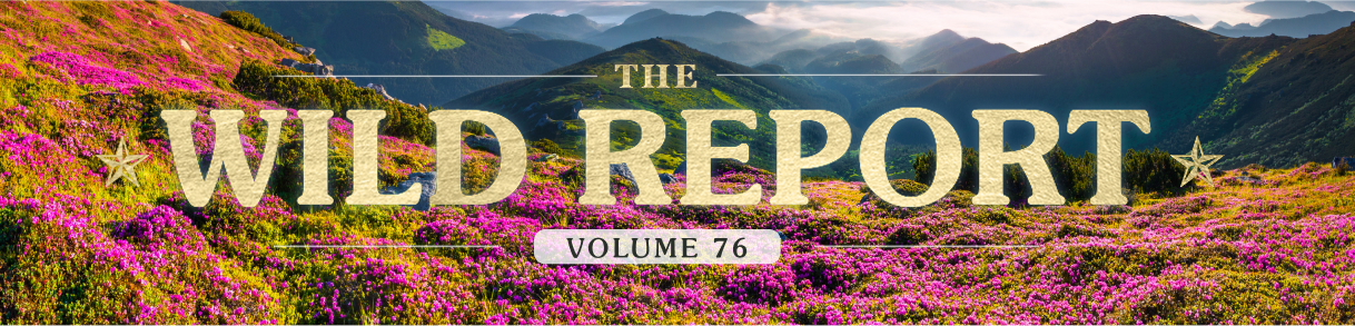 The Wild Report - Volume 76.
