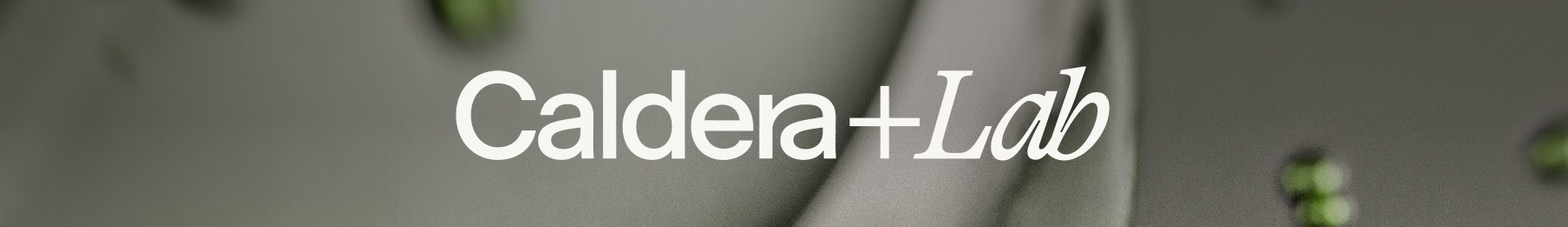 Caldera + Lab