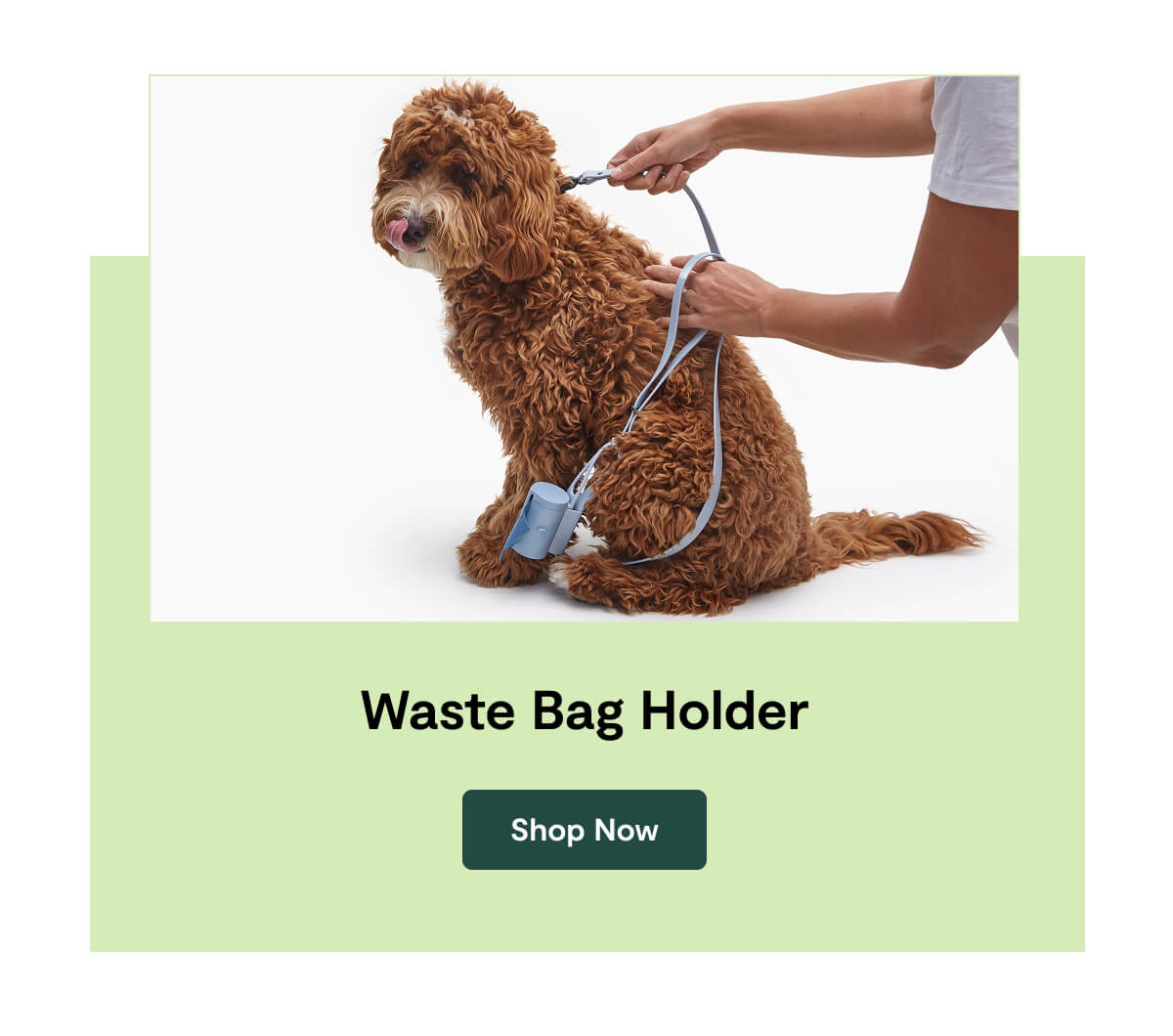 Waste Bag Holder