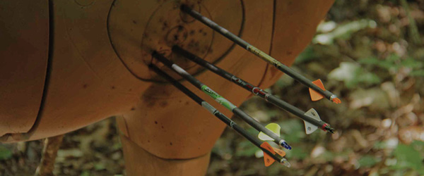 Archery Targets
